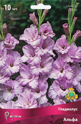 Гладиолус Альфа 10/12 (10шт./уп.) (Солн.сад)