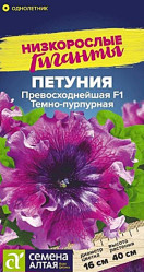 Петуния, комплиментуния, фриллитуния Петуния Превосходнейшая Темно-пурпурная 7шт. (Сем Алт)