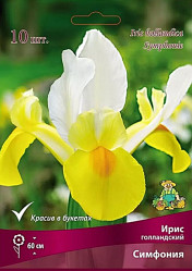 Ирис Голландский Симфония (7-8 /10шт./уп.) (Солн.сад)
