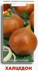 Лук репчатый Халцедон 1гр. (Поиск)