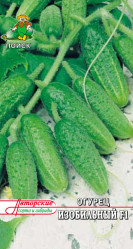 Огурцы Изобильный F1 12шт. (авт.серия) (Поиск)
