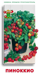Томат Пинокио (комнатный) 12шт. черри (Поиск)
