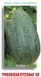 Тыква Кустовая Грибовская 189 10шт. (Поиск)