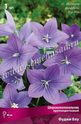 Ширококолокольчик крупноцв. Фуджи Блю (голуб.) (1шт./уп.) (Солн.Сад)