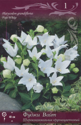 Ширококолокольчик крупноцв. Фуджи Вайт (бел.) (1шт./уп.) (Солн.Сад)