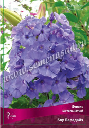 Флокс метельч. Блу Парадайс (фиол.-голуб. ) (1шт./уп.) (Солн.Сад)