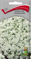 Алиссум Снежный ковер однол. 0,3гр. (Поиск)