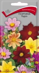 Георгина Радуга однол. 0,3гр. (Поиск)