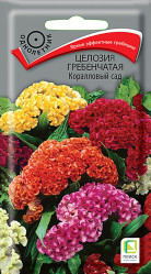 Целозия гребенчатая Коралловый сад однол. 0,1гр. (Поиск)