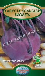 Капуста кольраби Виолетта 0,5гр. (Поиск)