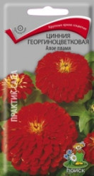 Цинния Алое пламя однол. 0,4гр. (Поиск)