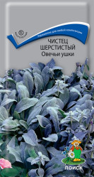 Чистец шерстистый Овечьи ушки многол. 0,1гр. (Поиск)