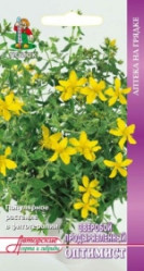 Зверобой продырявленный Оптимист 0,1гр. (авт.серия) (Поиск)