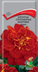 Бархатцы Кармен откл.махр. 0,4гр. (Поиск)