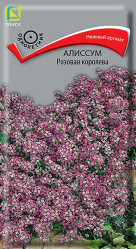 Алиссум Розовая королева однол. 0,3гр. (Поиск)