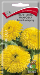 Календула махровая Золотой император однол. 1гр. (Поиск)