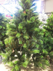 Сосна Аляска заснеженная с шишками Н=150см (CCF405409)