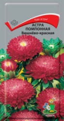 Астра помпонная Вишнево-красная 0,3гр. (Поиск)
