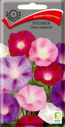 Ипомея Смесь окрасок однол. 0,9гр. (Поиск)