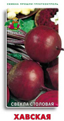 Свекла Хавская 3гр. (Поиск)