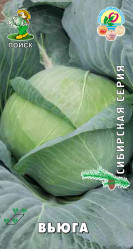Капуста белокочанная Вьюга 0,5гр. (сиб.серия) (Поиск)