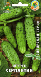 Огурцы Серпантин 15шт. (сиб.серия) (Поиск)