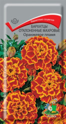 Бархатцы Оранжевое пламя откл.махр. 0,4гр. (Поиск)