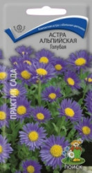Астра альпийская Голубая многол. 0,04гр. (Поиск)