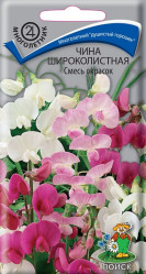 Чина широколистная Смесь окрасок многол. 0,3гр. (Поиск)