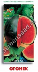 Арбуз Огонек 15шт. (Поиск)