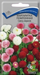 Маргаритка помпонная Смесь окрасок двул. 0,05гр. (Поиск)