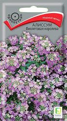 Алиссум Фиолетовая королева однол. 0,3гр. (Поиск)