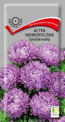 Астра низкорослая Голубой ковер 0,2гр. (Поиск)