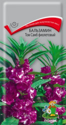 Бальзамин Том Самб Фиолетовый однол. 0,1гр. (Поиск)