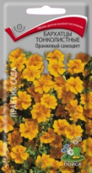 Бархатцы Оранжевый самоцвет тонколист. 0,1гр. (Поиск)
