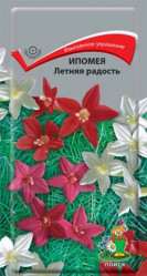 Ипомея Летняя радость однол. 0,3гр. (Поиск)