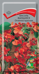 Фасоль вьющаяся Огненно-красная однол. 5шт. (Поиск)