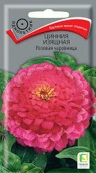 Цинния Розовая чаровница однол. 0,3гр. (Поиск)