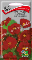 Настурция большая Коричневый блик однол. 1гр. (Поиск)