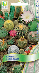 Кактус Смесь видов 0,1гр. (комн.раст.) (Поиск)