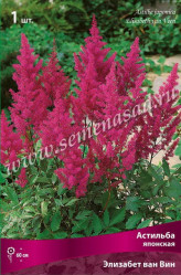 Астильба японск. Элизабет ван Вин (темно-малин.-красн.) (1шт./уп.) (Солн.сад)