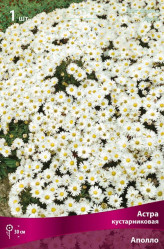 Астра кустарн. Аполло (бел.) (1шт./уп.) (Солн.сад)