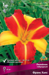 Лилейник гибр. Франс Халс (1шт./уп.) (Солн.сад)