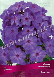 Флокс метельч. Аметист (1шт./уп.) (Солн.сад)