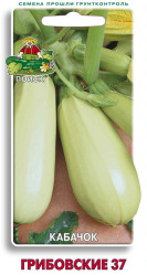 Кабачки Грибовский 37 12шт. (Поиск)