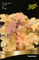 Гейхера гибр. Карамель (крупн.медно-крем.верх/красн.снизу лист,цветки кр) (1шт./уп.) (Солн.сад)