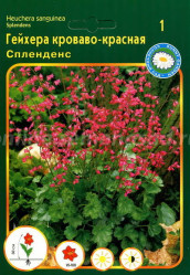 Гейхера кроваво-красн. Спленденс (1шт./уп.) (Солн.сад)