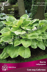 Хоста гибр. Сам энд Сабстэнс (1шт./уп.) (Солн.сад)