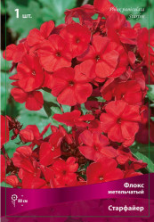 Флокс метельч. Старфайер (1шт./уп.) (Солн.сад)