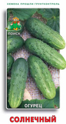 Огурцы Солнечный 15шт. (Поиск)
